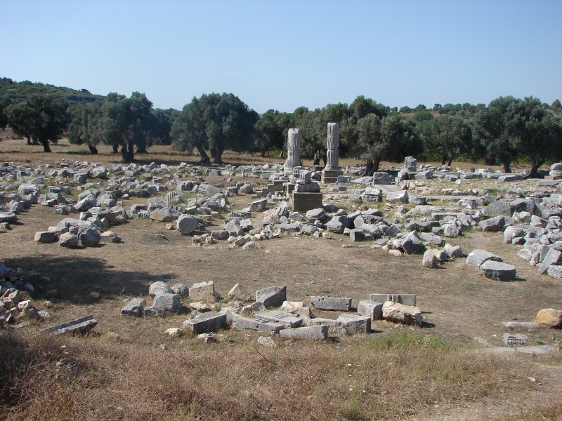 teos 1