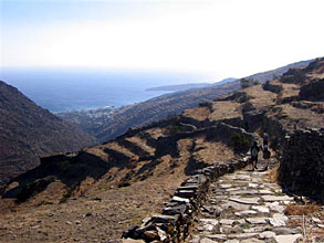 11tinos