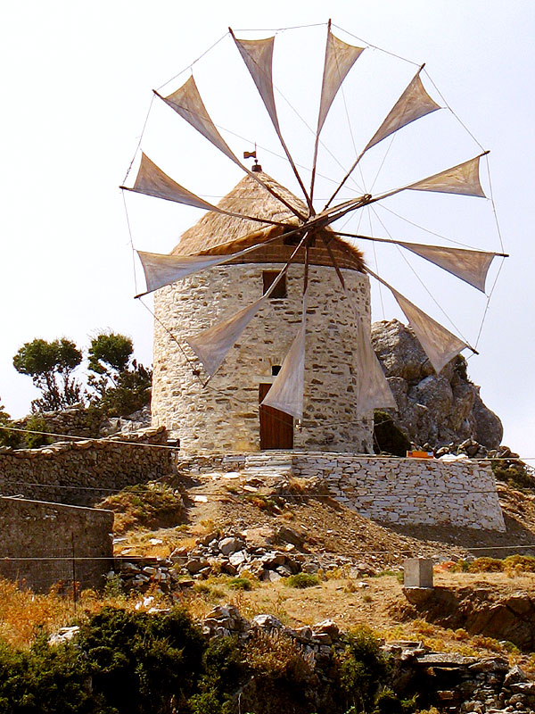6tinos