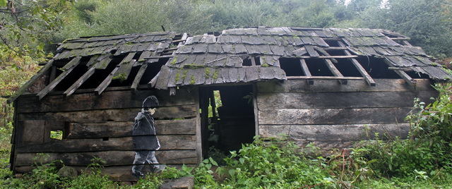 Boy in the field