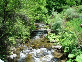 Brajcinska reka