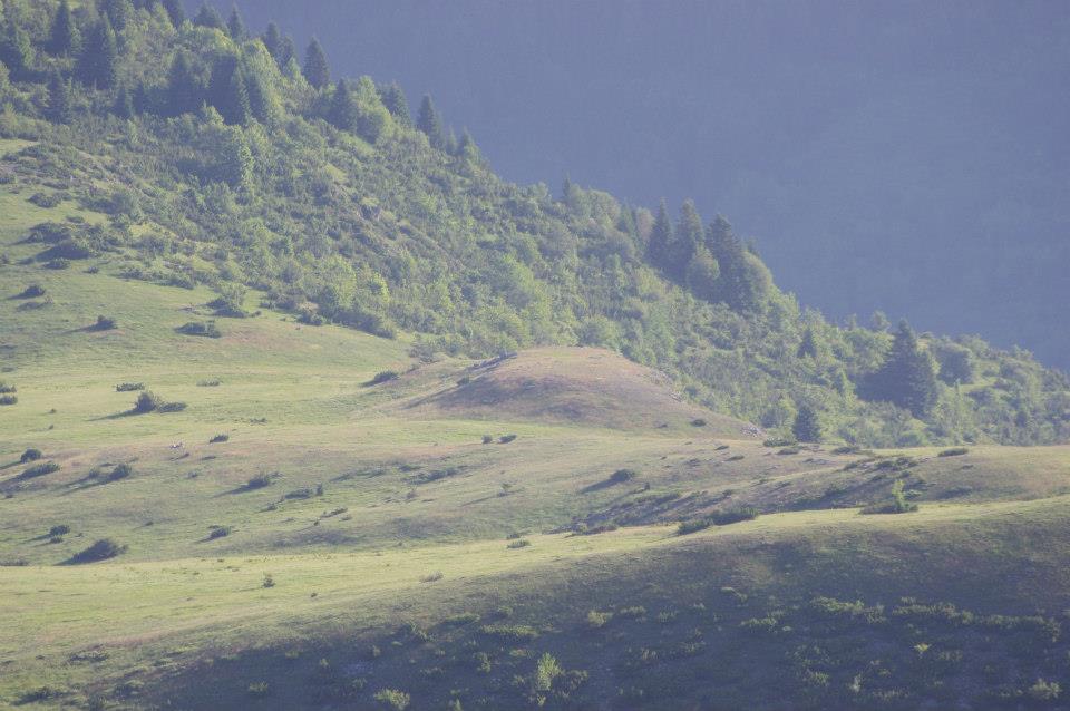 Planina001