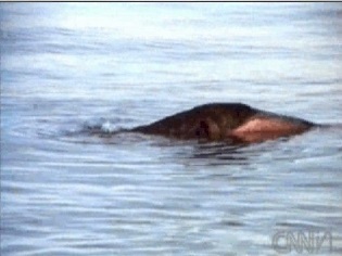 lake-van-vidimage