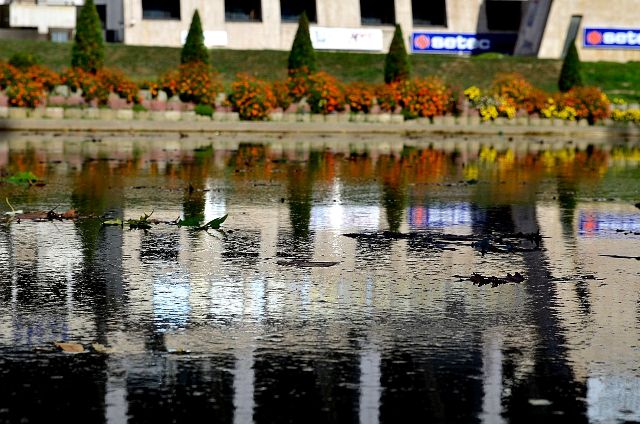 DSC_0175