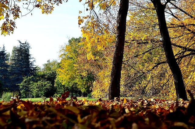 DSC_0279