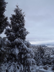 berovo 1