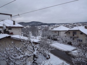 berovo5