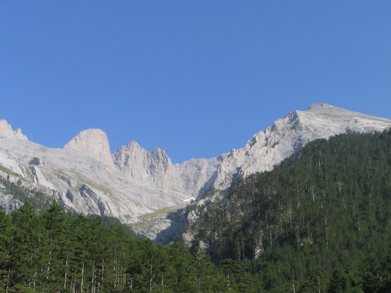Mitikas