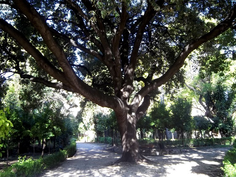 gardens athens10 balkon3