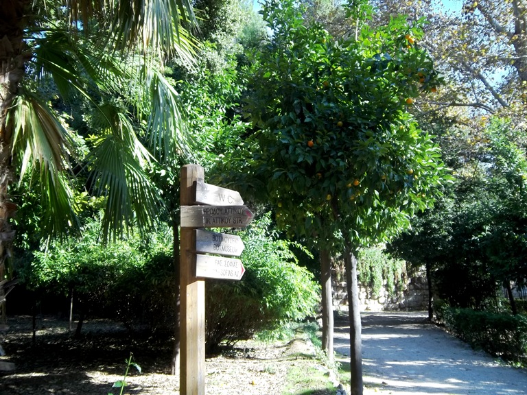 gardens athens5 balkon3