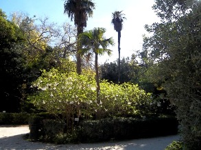 gardens athens8 balkon3
