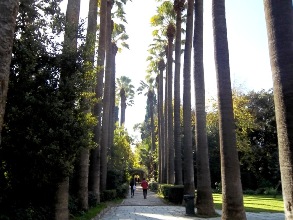 gardens athens9 balkon3