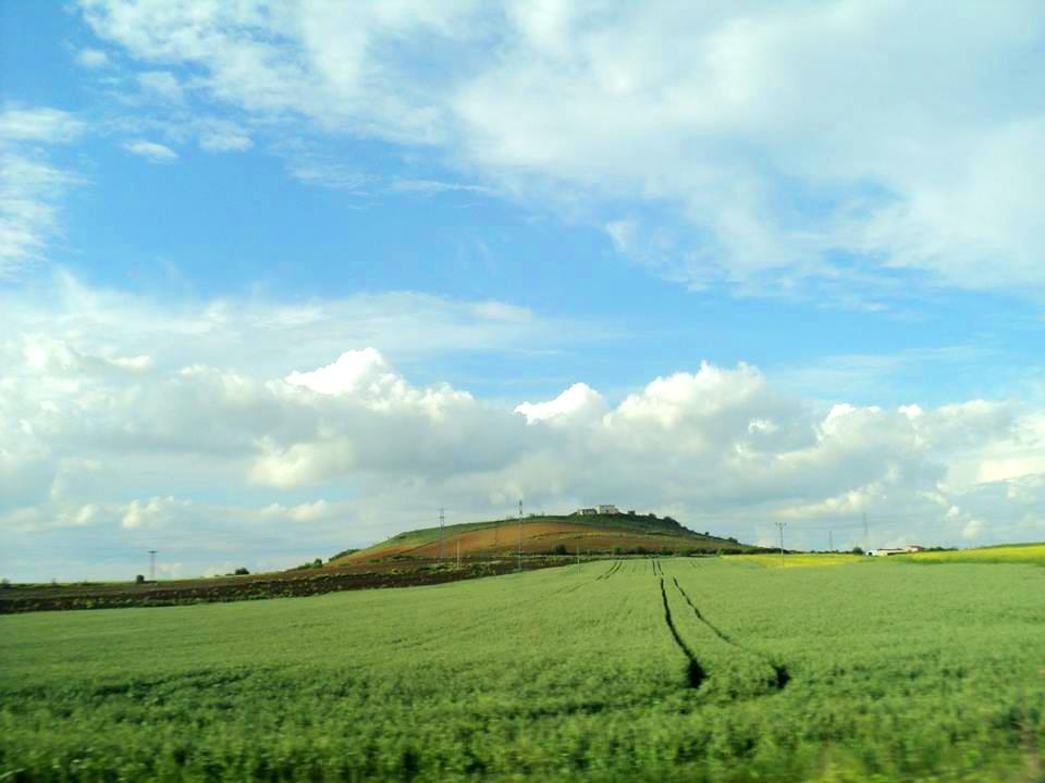 Windows XP на европска Турција