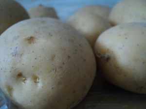 kompir_cover