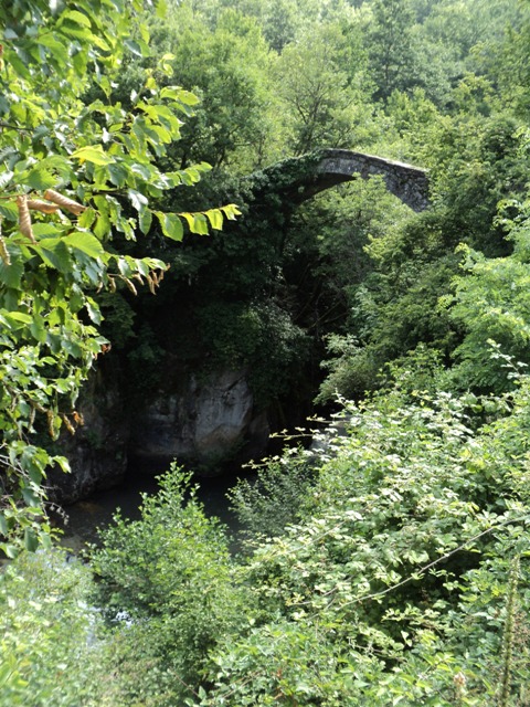 elen skok