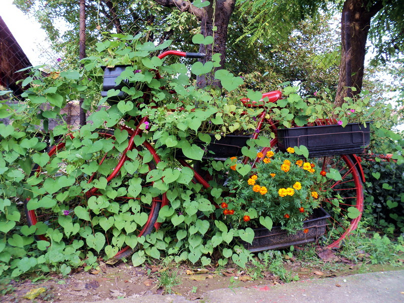 flower_bicycle1_balkon3