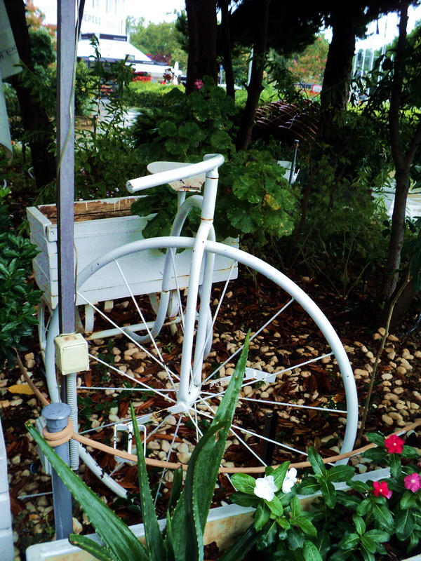 flower_bicycle2_balkon3