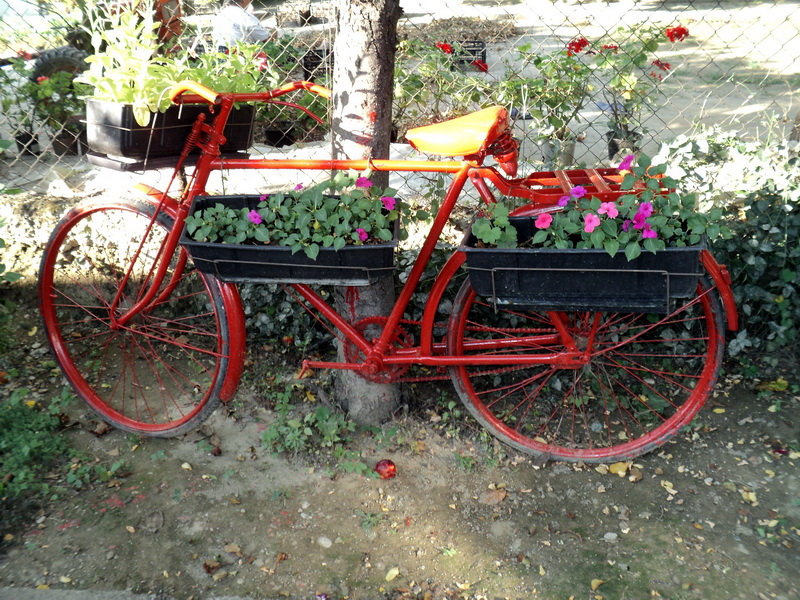 flower_bicycle4_balkon3
