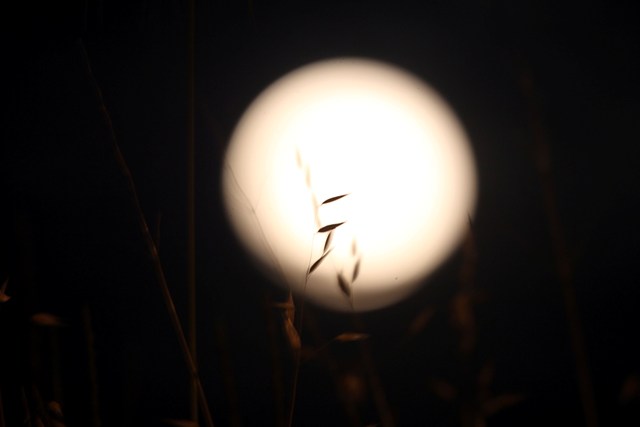 full moon2