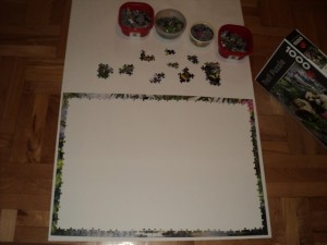puzzle 5