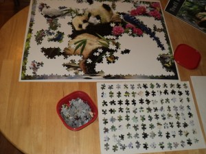puzzle 9